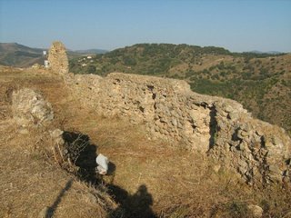 stello di Tripi-06-02-2016 18-09-58